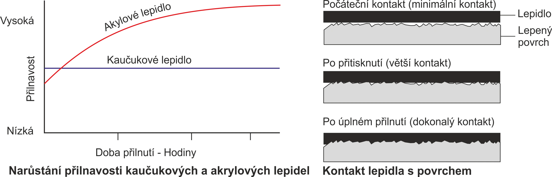Graf: Narůstání přilnavosti kaučukových a akrylových lepidel